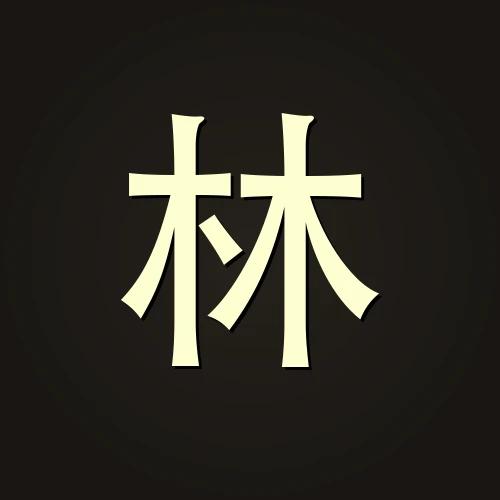 林启航 — AI 架构师 · 科技伦理倡导者