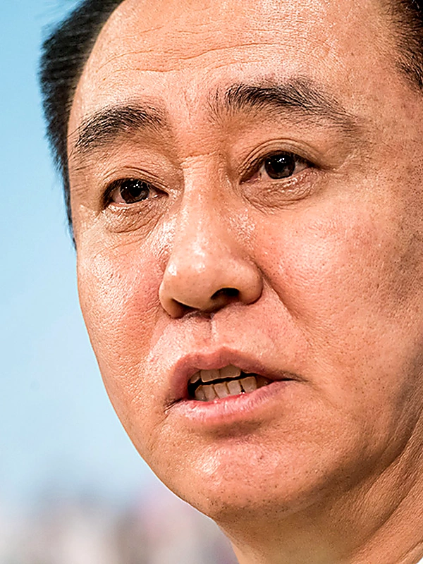 许家印 — 恒大集团创始人（已被采取强制措施）