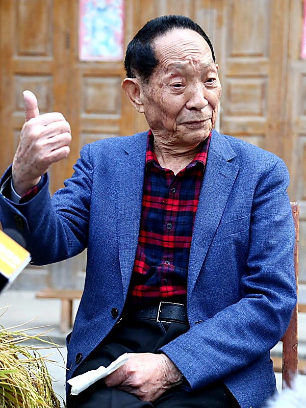 袁隆平 — 杂交水稻之父 · 中国工程院院士